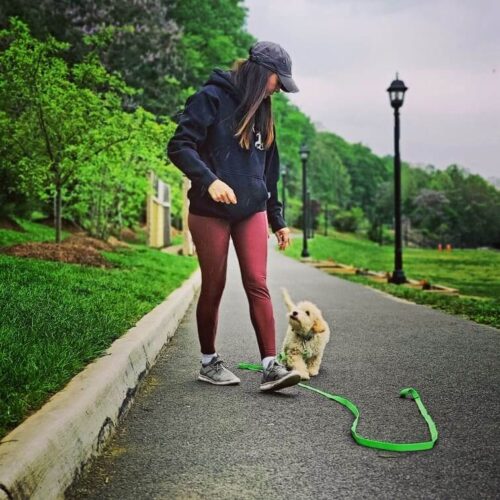 2-Week Puppy Board & Train - Northern VA